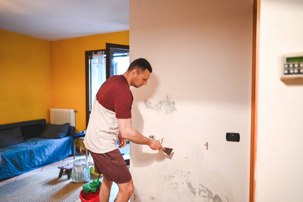 Best Black Mold Removal  in Paulsboro, NJ